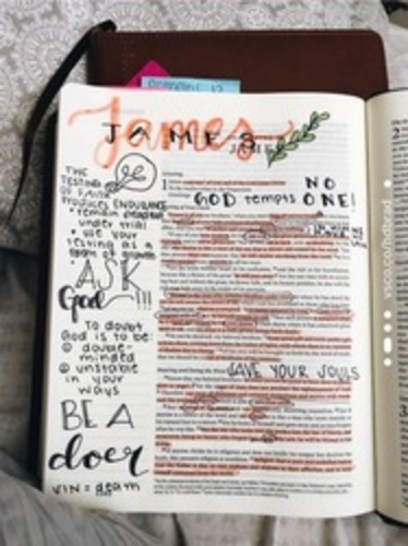 Bible Study Notes